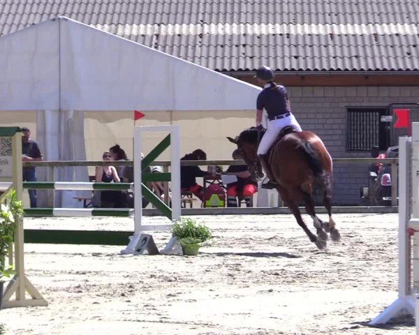Reitturnier Kropp 2024