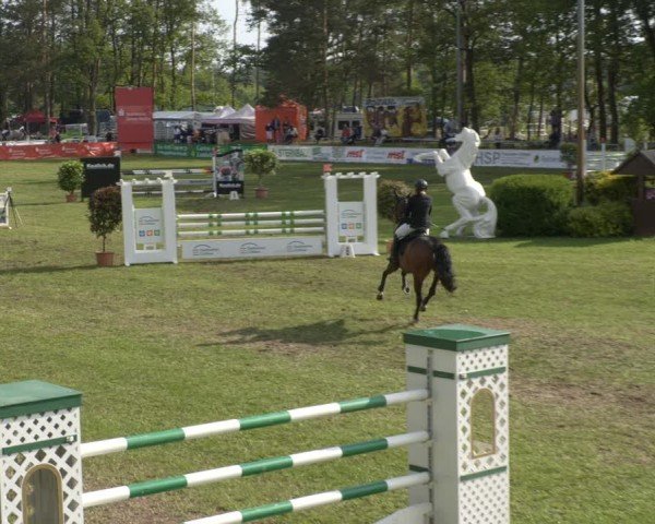 Reitturnier Cottbus-Sielow 2024