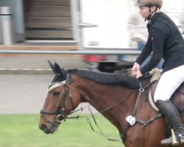 Reitturnier Forst 2024