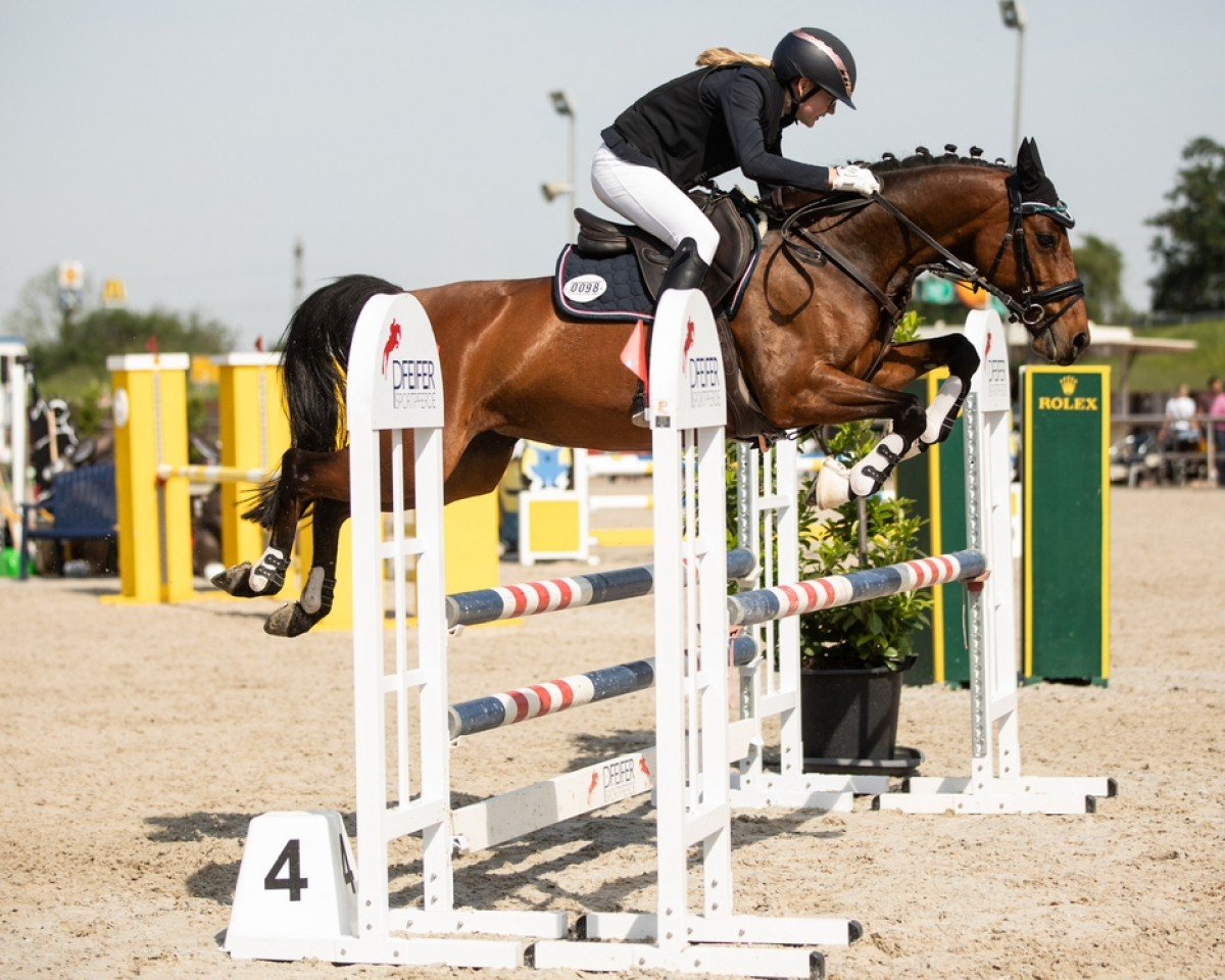 jumper Catch Me If You Can 55 (German Riding Pony, 2016, from Charivari)