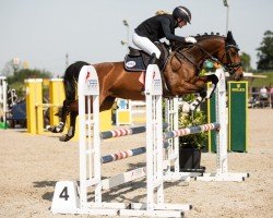 jumper Catch Me If You Can 55 (German Riding Pony, 2016, from Charivari)