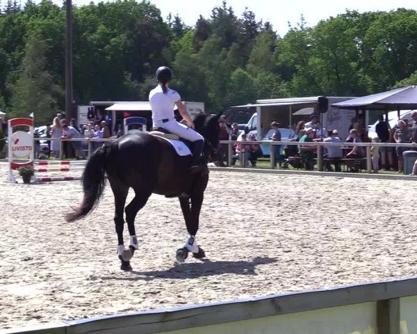 Reitturnier Kropp 2024