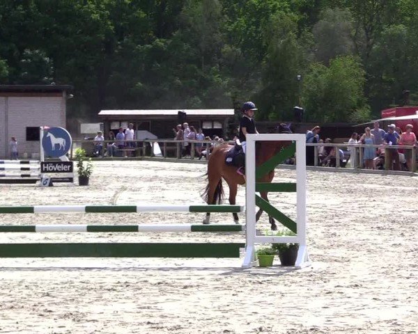 Reitturnier Kropp 2024