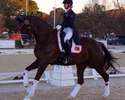 broodmare Donnatella H (KWPN (Royal Dutch Sporthorse), 2008, from Status Quo)