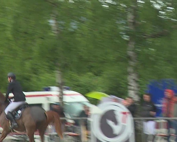 Reitturnier Landenhausen 2024