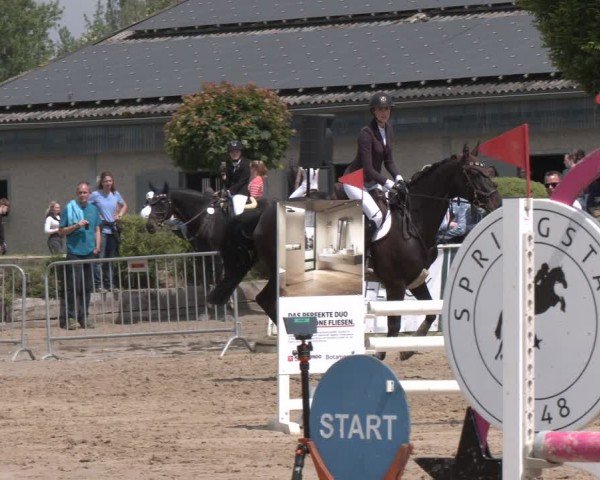 Reitturnier Frechen-Grefrath - Sonnenhof 2024