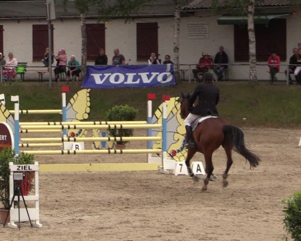 Reitturnier Lgl.-Oberhain, B95 2024