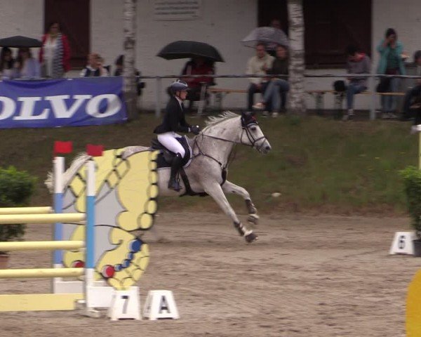 Reitturnier Lgl.-Oberhain, B95 2024