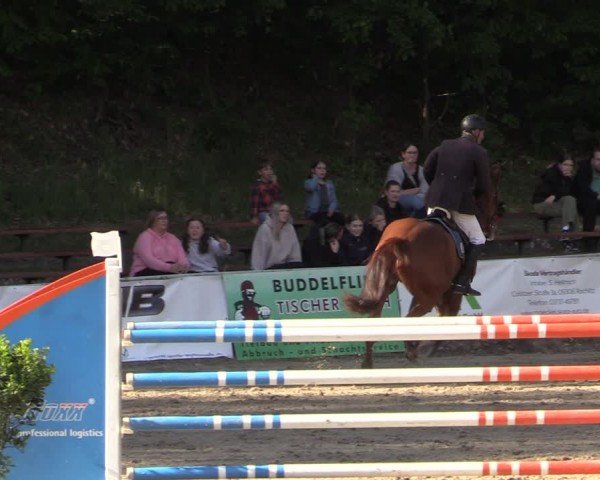 Reitturnier Lgl.-Oberhain, B95 2024
