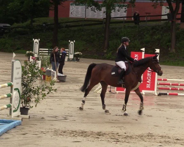 Reitturnier Iserlohn-Kalthof 2024