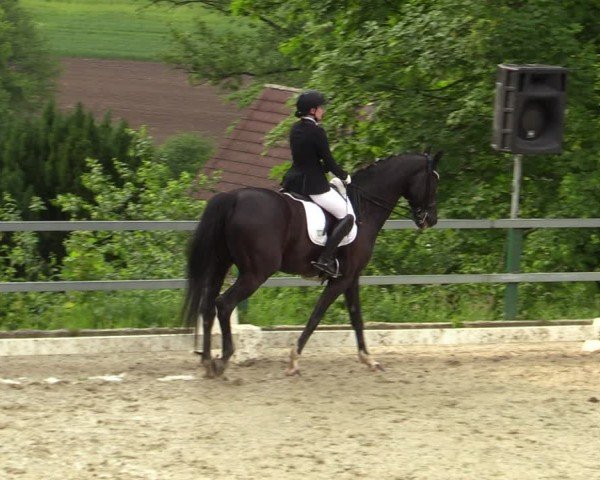 Reitturnier Iserlohn-Kalthof 2024