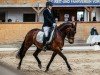 dressage horse Tasja 10 (German Riding Pony, 2012, from Trussardi D)