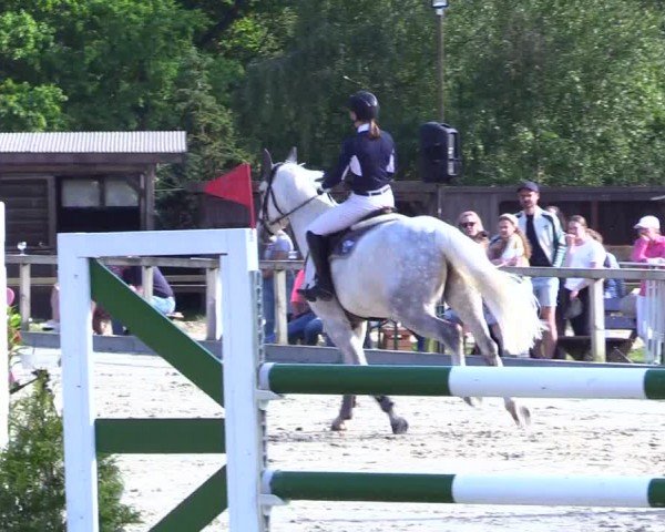Reitturnier Kropp 2024