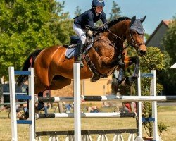 broodmare Olanka's Girl (German Sport Horse, 2010, from Lipsius)