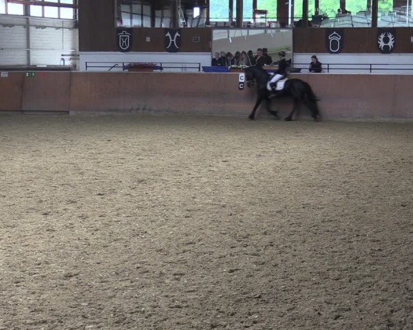 Reitturnier Leichlingen 2024