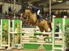 jumper Pocahontas GS (Hanoverian, 2019, from Perigueux)