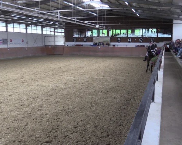 Reitturnier Leichlingen 2024