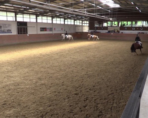 Reitturnier Leichlingen 2024