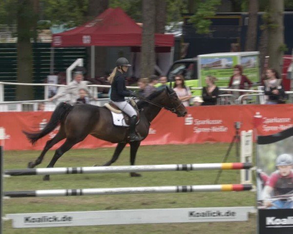 Reitturnier Cottbus-Sielow 2024
