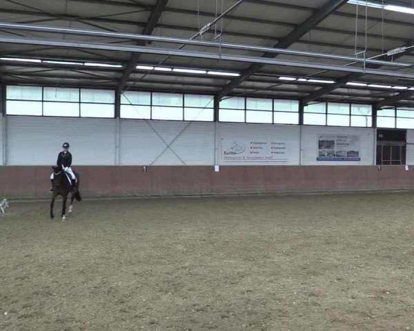 Reitturnier Leichlingen 2024