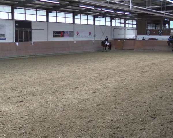 Reitturnier Leichlingen 2024