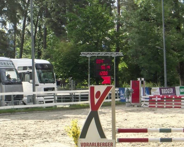 Reitturnier Stadt Bregenz 2024