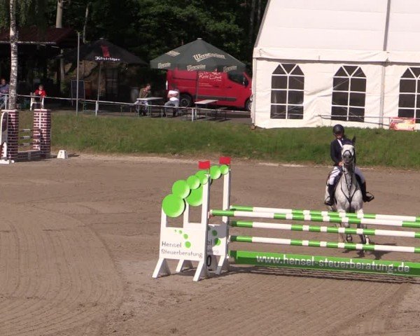 Reitturnier Lgl.-Oberhain, B95 2024
