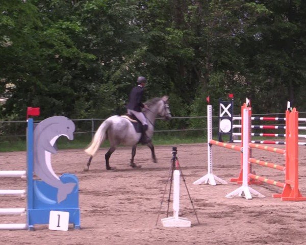 Reitturnier Lgl.-Oberhain, B95 2024