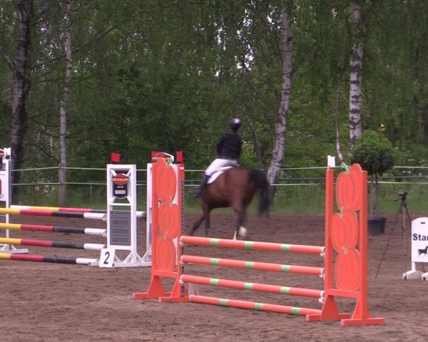 Reitturnier Lgl.-Oberhain, B95 2024