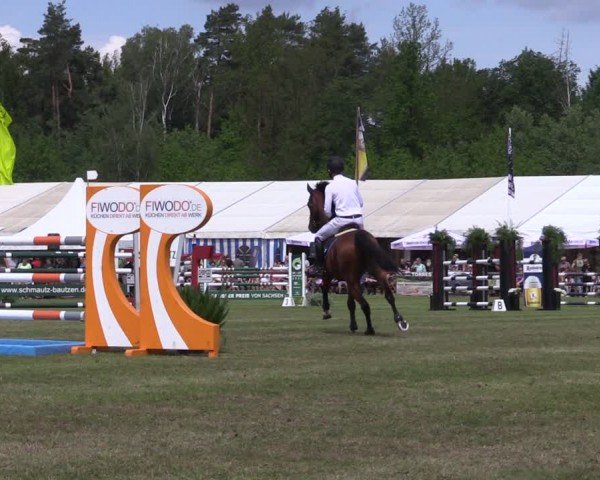 Reitturnier Horka 2024