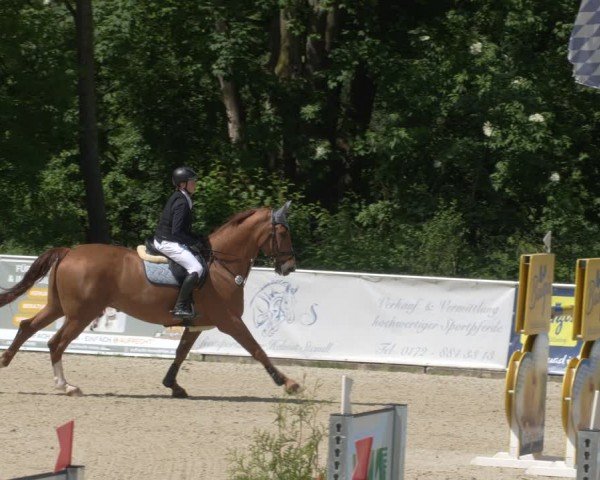 Reitturnier Karlsfeld/Obb. 2024