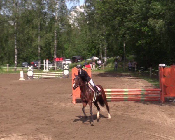 Reitturnier Lgl.-Oberhain, B95 2024
