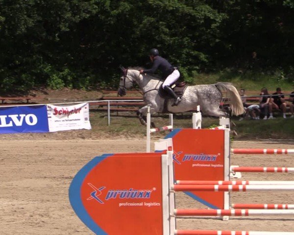 Reitturnier Lgl.-Oberhain, B95 2024