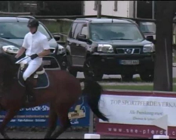 Reitertage Hagau 2012