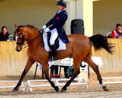 dressage horse Romeo (KWPN (Royal Dutch Sporthorse), 1996, from Flemmingh)