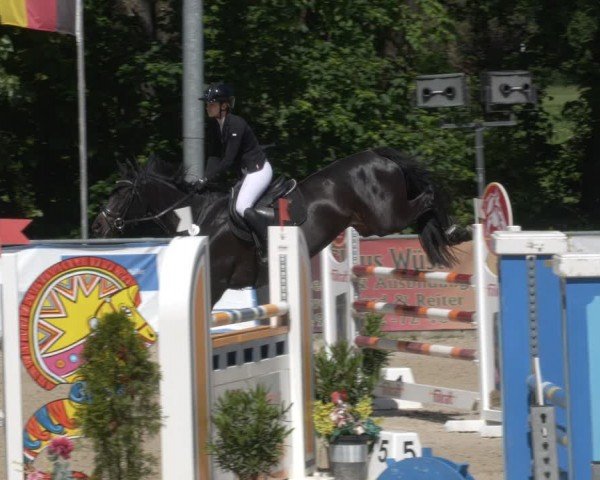 Reitturnier Karlsfeld/Obb. 2024
