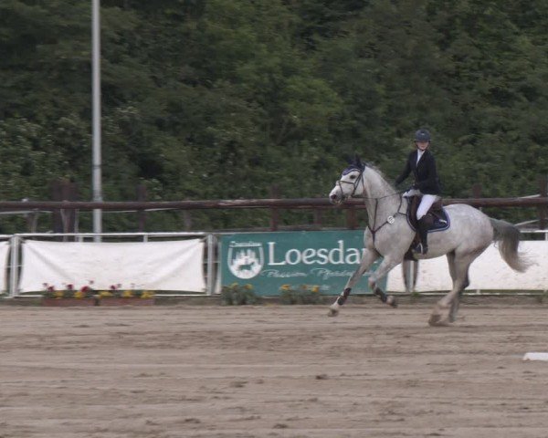 Reitturnier Frechen-Grefrath - Sonnenhof 2024