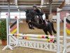 broodmare Estelle 85 (German Riding Pony, 2014, from Duncan 86)