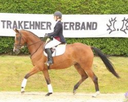 dressage horse Verona (Trakehner, 2011, from Herbstbach)