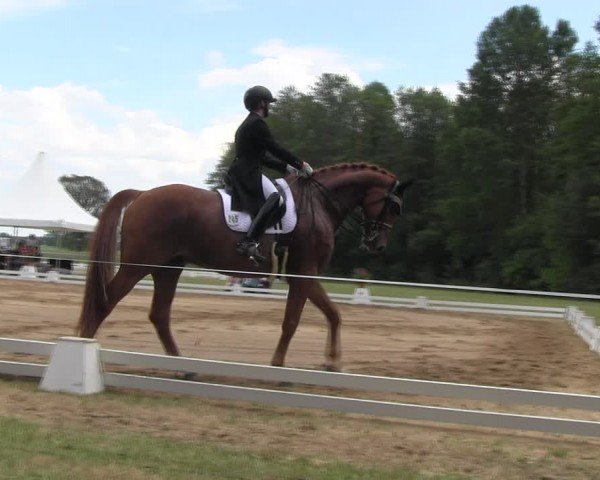 Reitturnier Horka 2024