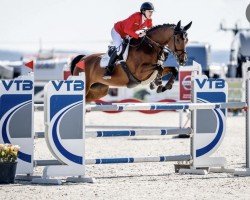 jumper Kristaly of Luhov (Czech Warmblood, 2014, from Pikeur Canvaro)