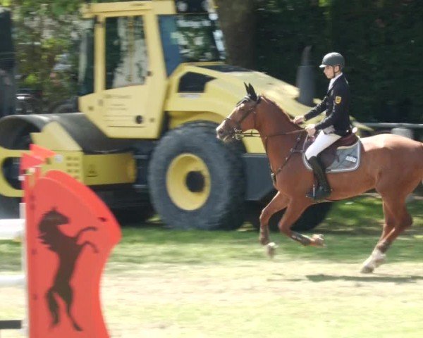 Reitturnier Forst 2024