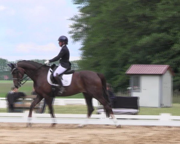 Reitturnier Horka 2024