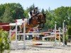 jumper Varrant (Oldenburg show jumper, 2017, from Vagabond de la Pomme)