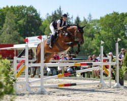 jumper Varrant (Oldenburg show jumper, 2017, from Vagabond de la Pomme)