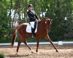 jumper Feuerherz 8 (German Sport Horse, 2019, from Fuechtels Floriscount OLD)