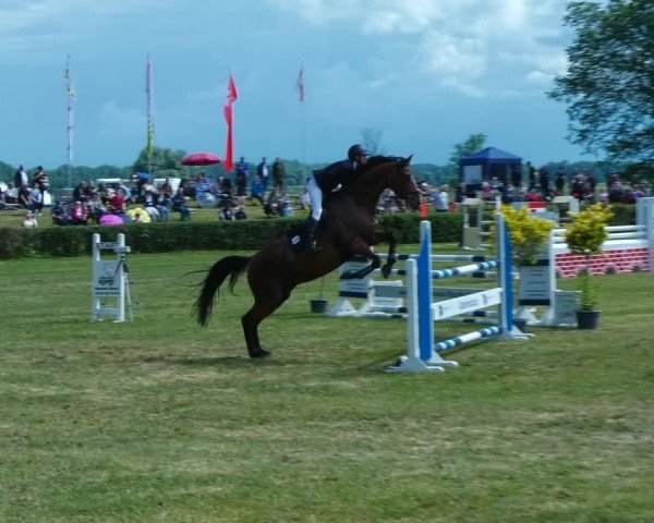 Reitturnier Wustrow 2024
