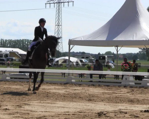 Reitturnier Horka 2024