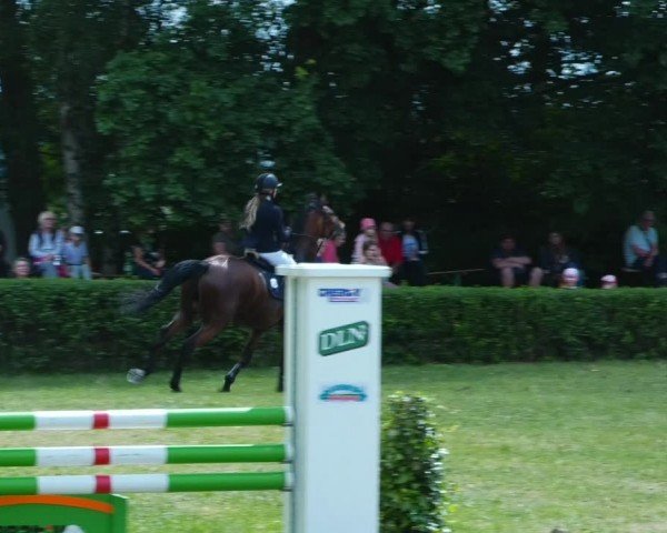 Reitturnier Wustrow 2024