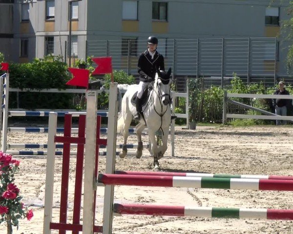 Reitturnier Stadt Bregenz 2024